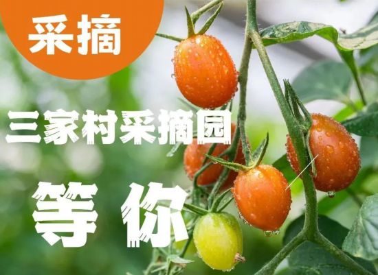 5·19中国旅游日 上海近百项惠民游主题活动(图17)