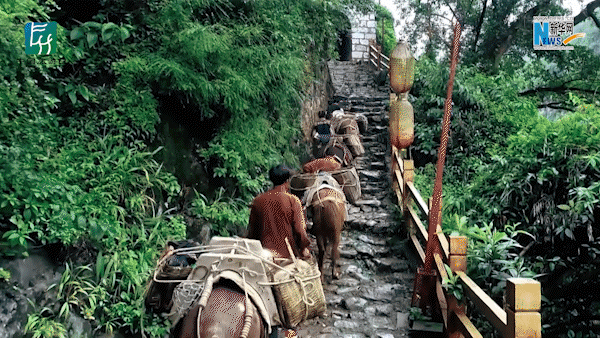 中国旅游日|走进磅礴乌蒙 打开蓬勃昭通_新华网(图10) 中国旅游日|走进磅礴乌蒙 打开蓬勃昭通_新华网(图10)