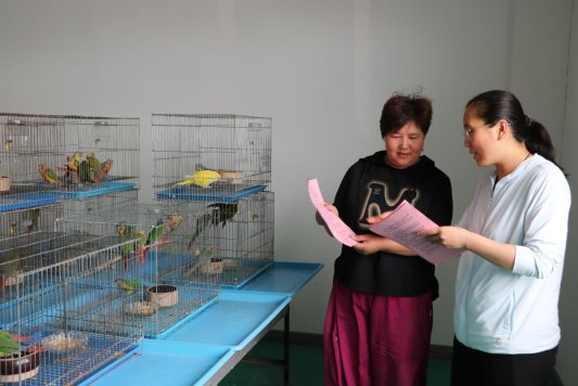 济宁市微山县张楼镇组织开展2024年科技活动周暨全国科技工作者日活动(图3)