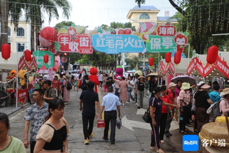 2024年海南保亭红毛丹文化节暨红火丰收季活动启幕(图3)