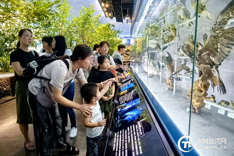 探江南秘境 享童年时光——2024年松台青少年交流活动在浙江省丽水市松阳县举行(图3) 探江南秘境 享童年时光——2024年松台青少年交流活动在浙江省丽水市松阳县举行(图3)