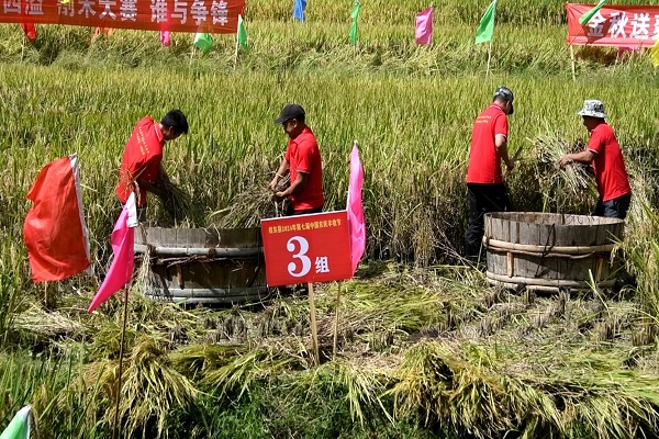 湖南桂东县举办2024年第七届农民丰收节庆祝活动(图2) 湖南桂东县举办2024年第七届农民丰收节庆祝活动(图2)