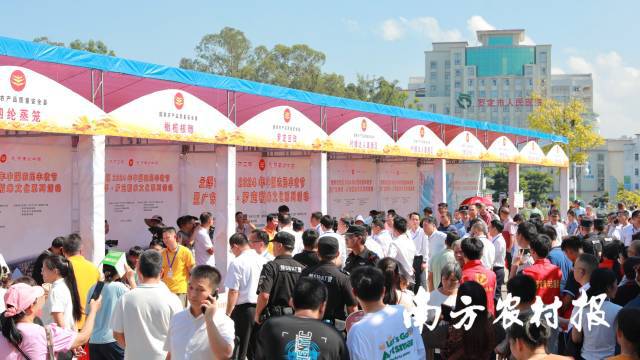 三十而“励”!云浮市庆祝2024年中国农民丰收节暨广东云浮·罗定稻米文化系列活动举行(图6) 三十而“励”!云浮市庆祝2024年中国农民丰收节暨广东云浮·罗定稻米文化系列活动举行(图6)