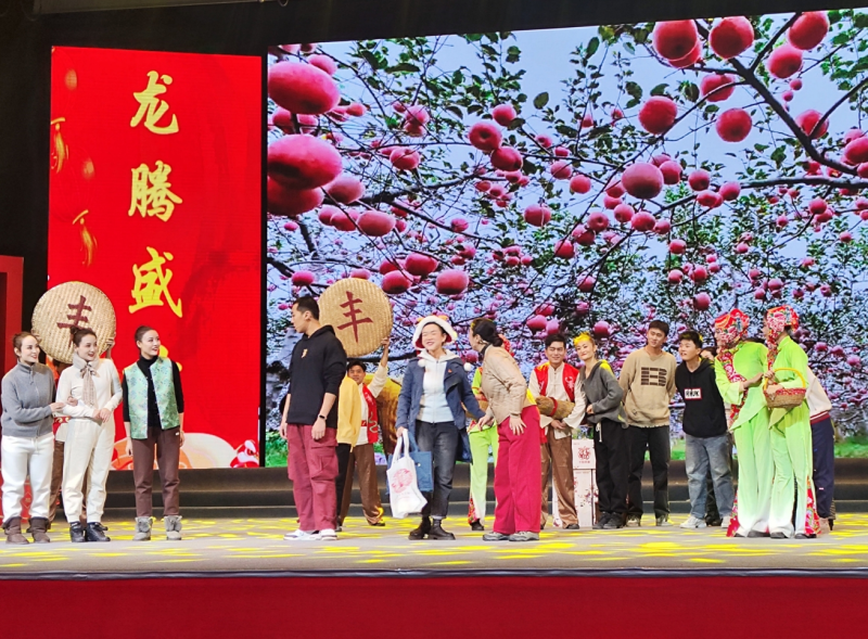 2024年全国春节“村晚”示范展示活动在宝鸡千阳精彩上演(图2)