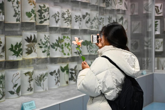安庆师范大学开展2024年创客文化节系列活动(图2)