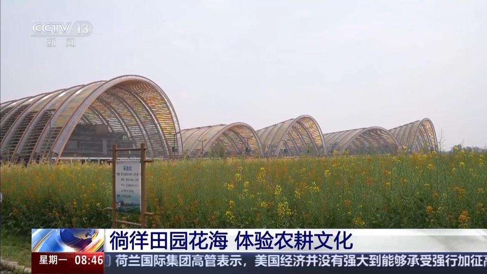 以花为媒人间四月天来山东菏泽赏牡丹(图4) 以花为媒人间四月天来山东菏泽赏牡丹(图4)