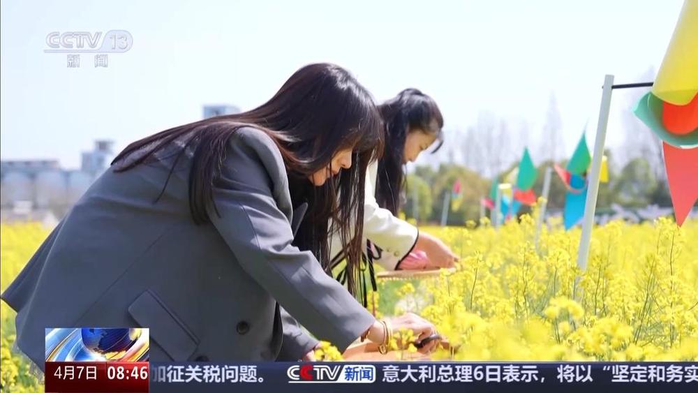 以花为媒人间四月天来山东菏泽赏牡丹(图3) 以花为媒人间四月天来山东菏泽赏牡丹(图3)