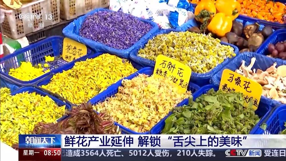 以花为媒人间四月天来山东菏泽赏牡丹(图11) 以花为媒人间四月天来山东菏泽赏牡丹(图11)