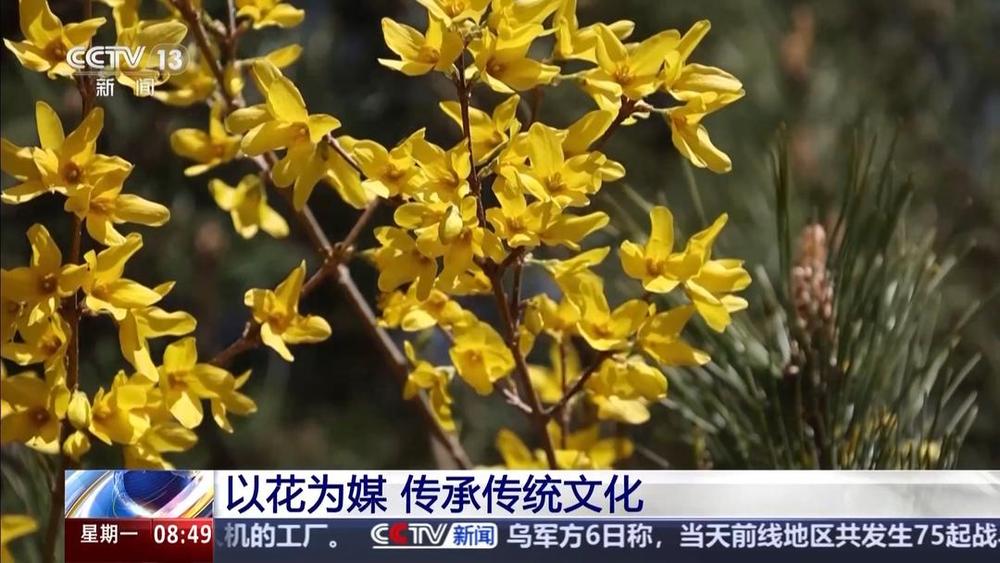 以花为媒人间四月天来山东菏泽赏牡丹(图10) 以花为媒人间四月天来山东菏泽赏牡丹(图10)